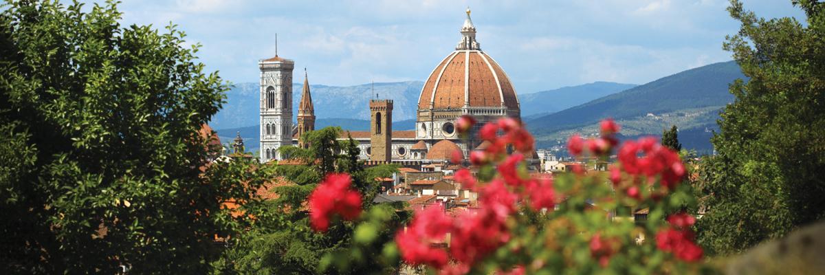 Wave Offer "Upgrade Your Experience"